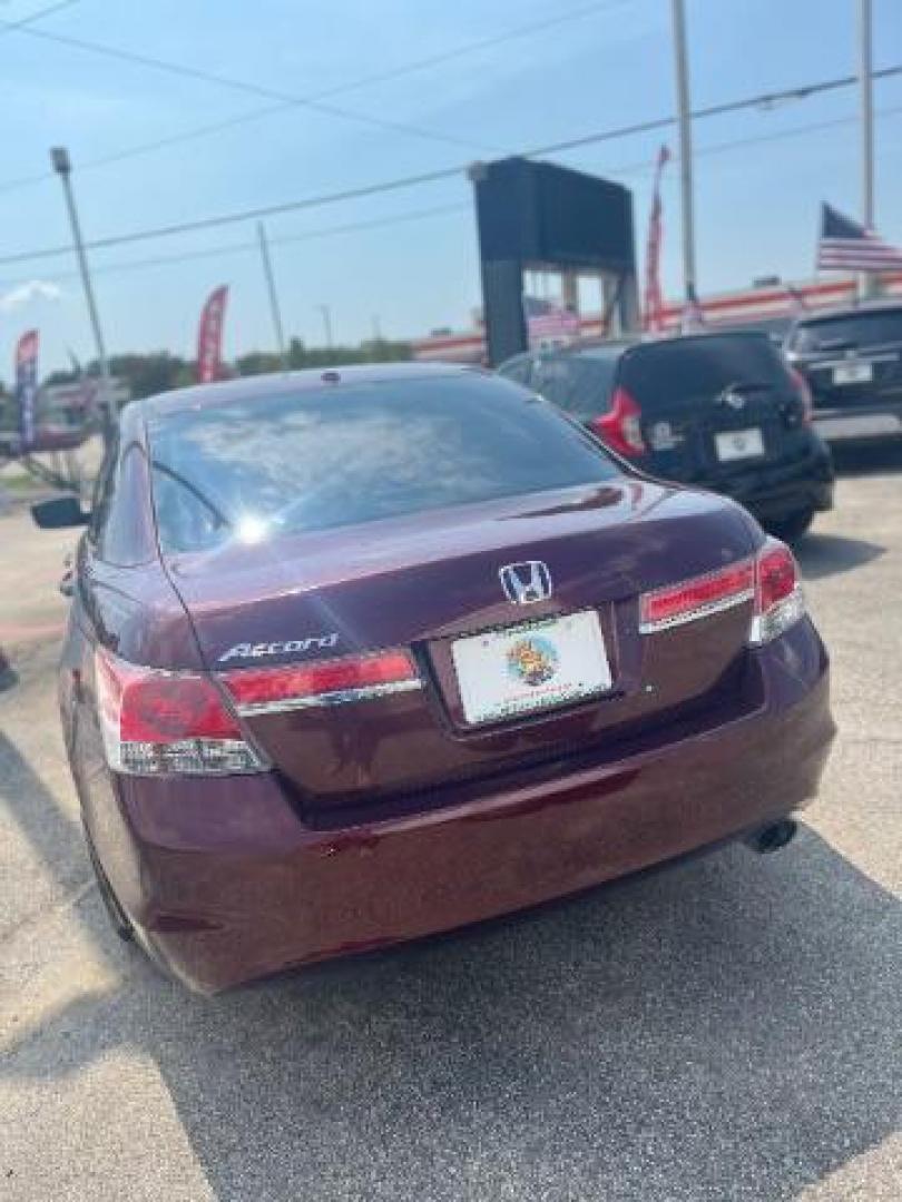 2011 Basque Red Pearl /Ivory Leather Interior Honda Accord EX-L Sedan AT with Navigation (1HGCP2F85BA) with an 2.4L L4 DOHC 16V engine, 5-Speed Automatic transmission, located at 4545 Spencer Hwy., Pasadena, 77504, (832) 266-1645, 29.666037, -95.173775 - Photo#1